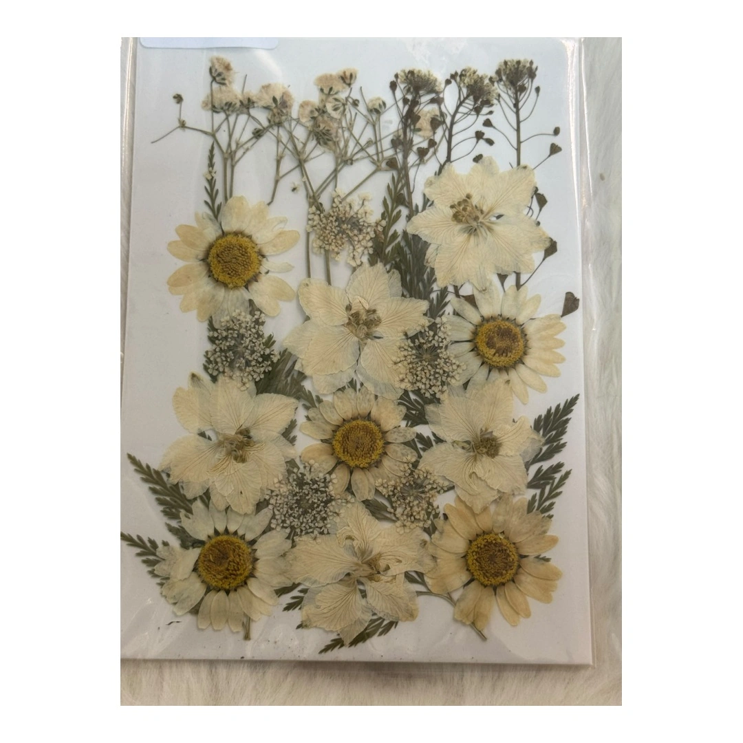 Dry Flowers Sheet for Resin Art IDFS - 56