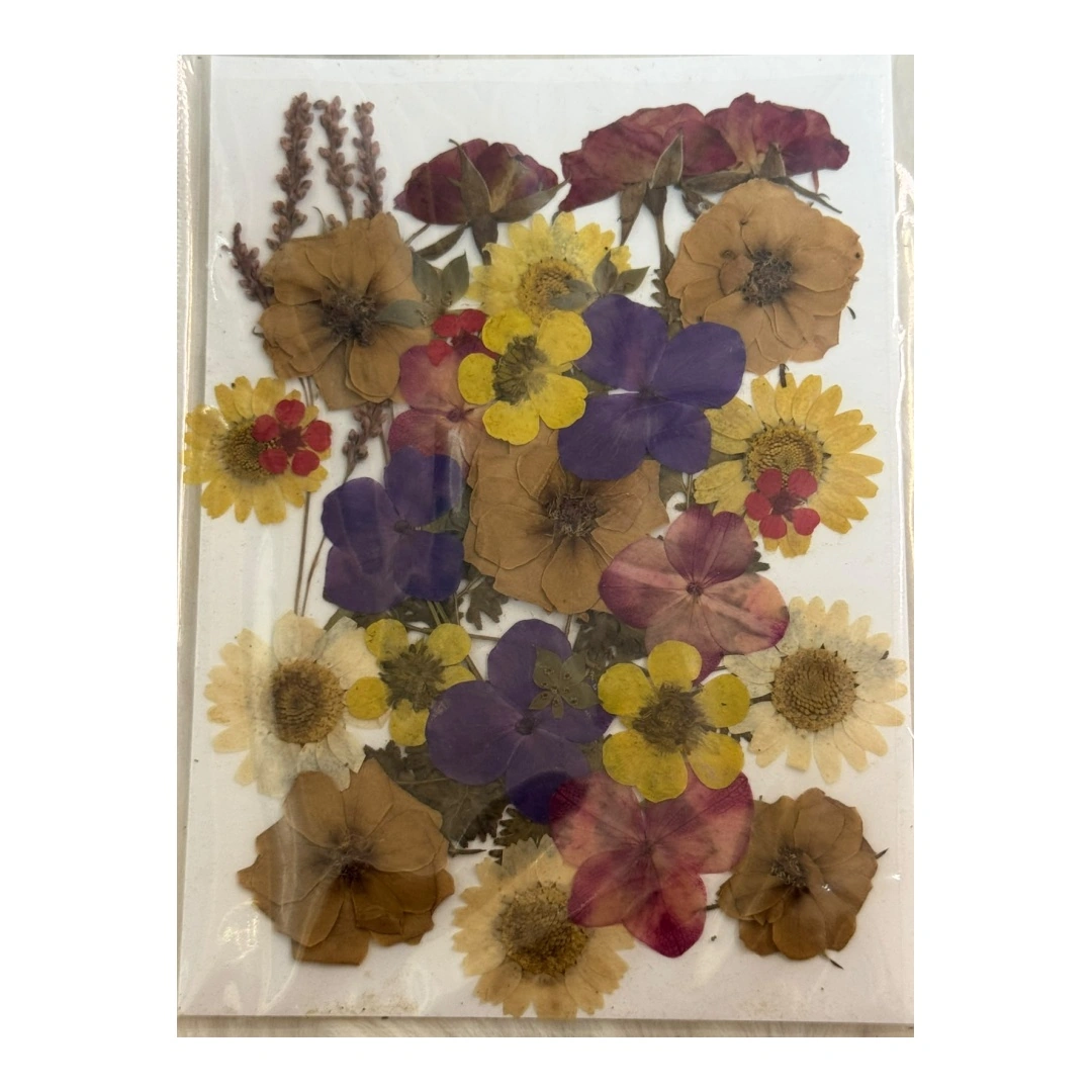 Dry Flowers Sheet for Resin Art IDFS - 12