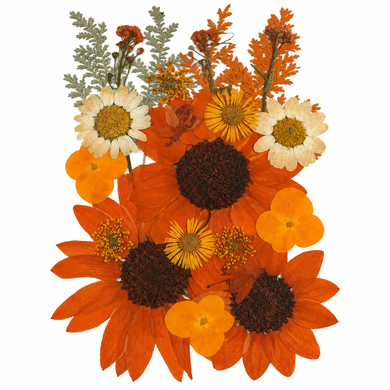Dry Flowers Sheet for Resin Art IDFS - 31