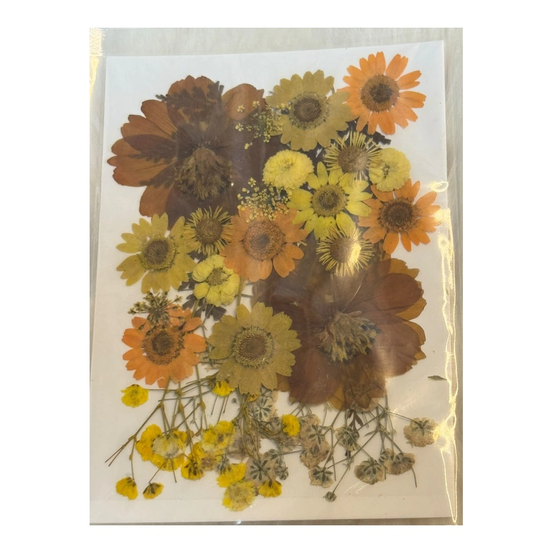 Dry Flowers Sheet for Resin Art IDFS - 71