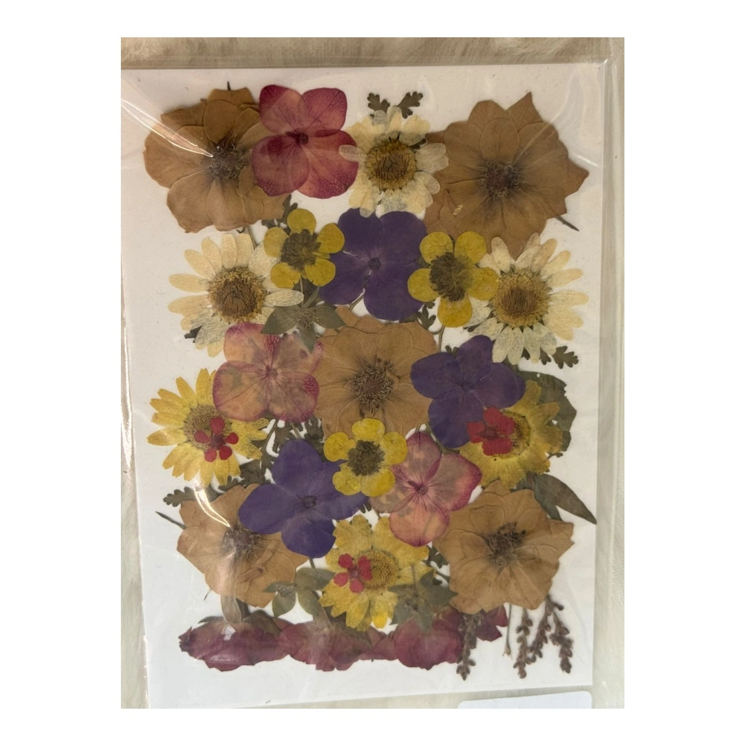 Dry Flowers Sheet for Resin Art IDFS - 17