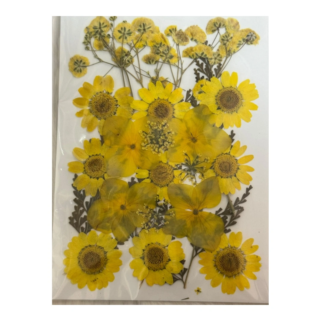 Dry Flowers Sheet for Resin Art IDFS - 53