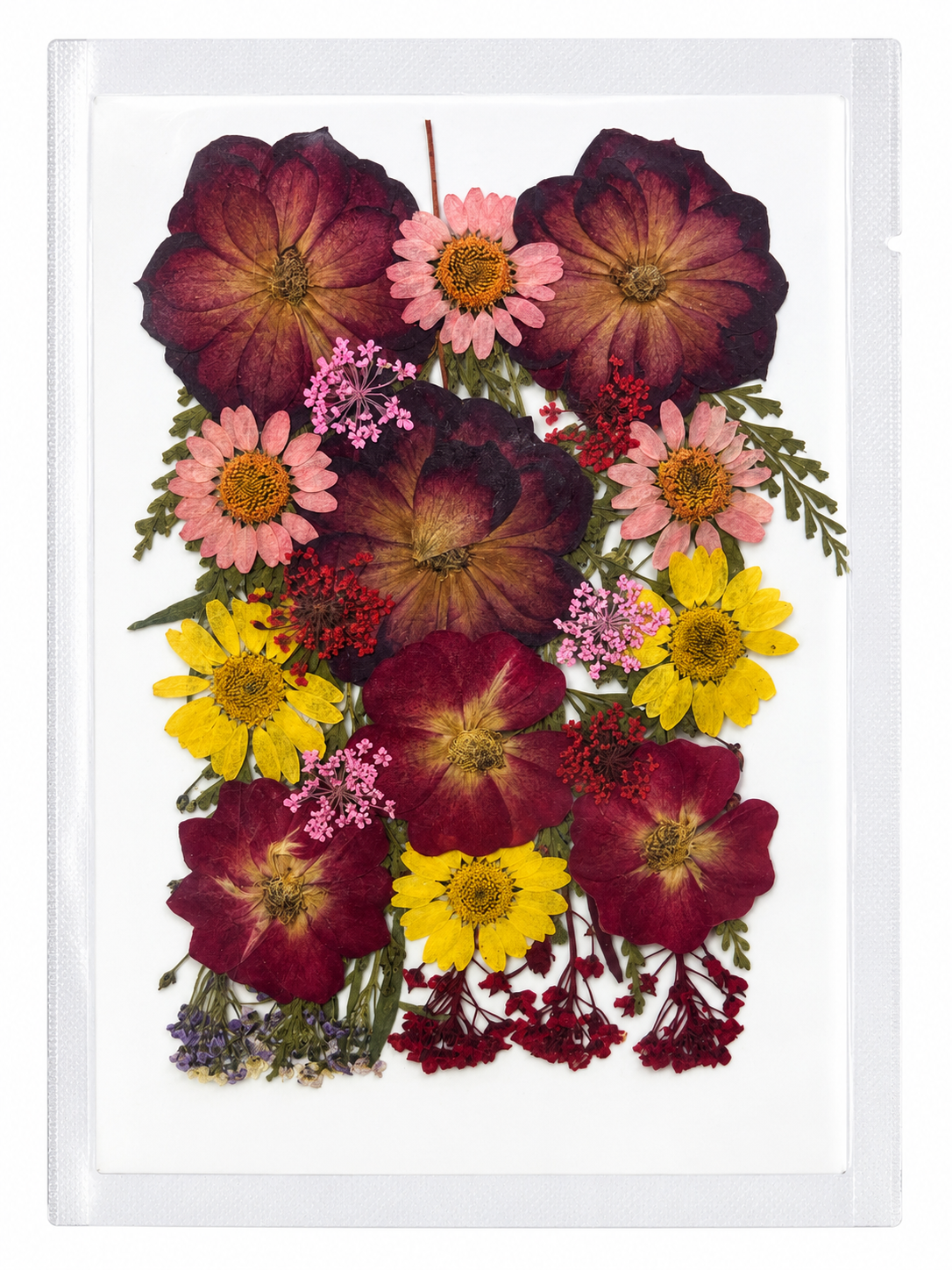 Dry Flower Sheet for Resin Art IDFS-07