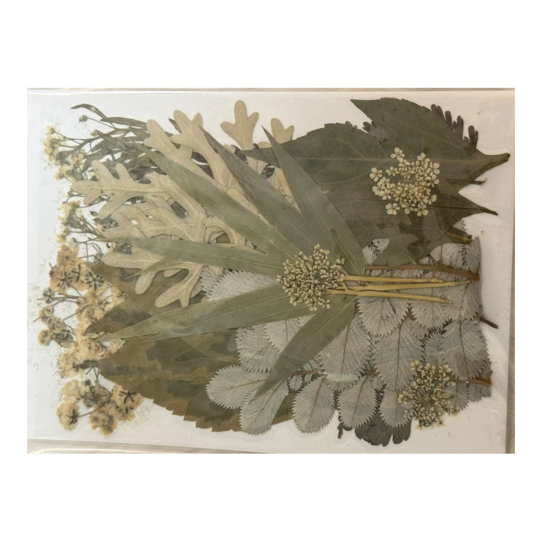 Dry Flowers Sheet for Resin Art IDFS - 34