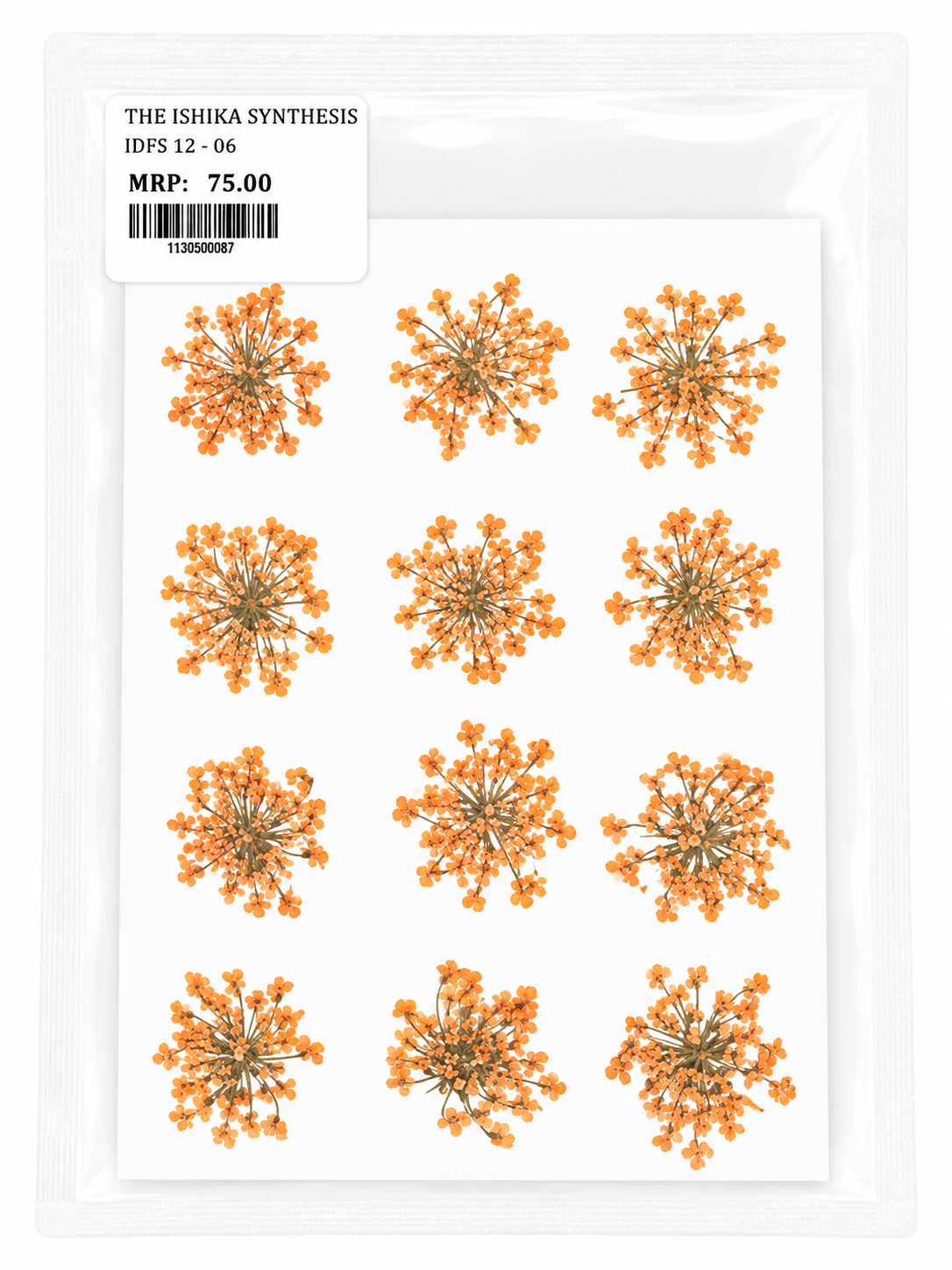 12 Dry Flower Sheet for Resin Art IDFS-06