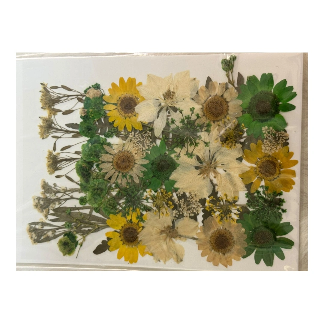 Dry Flowers Sheet for Resin Art IDFS - 26