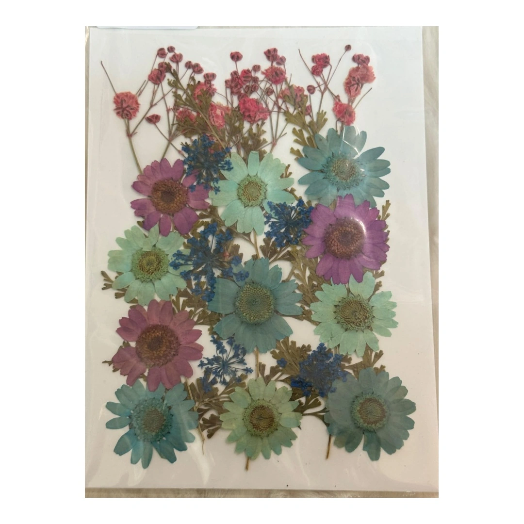 Dry Flowers Sheet for Resin Art IDFS - 54