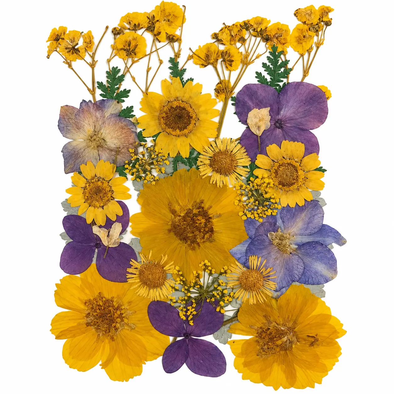 Dry Flowers Sheet for Resin Art IDFS - 32
