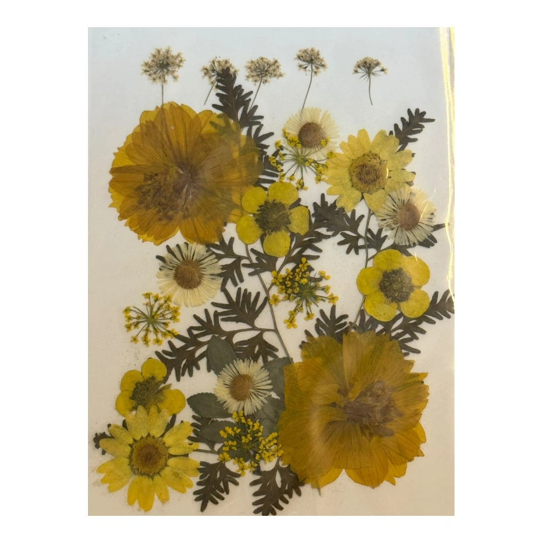Dry Flowers Sheet for Resin Art IDFS - 62
