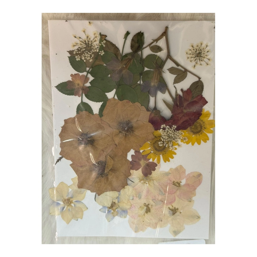 Dry Flowers Sheet for Resin Art IDFS - 73