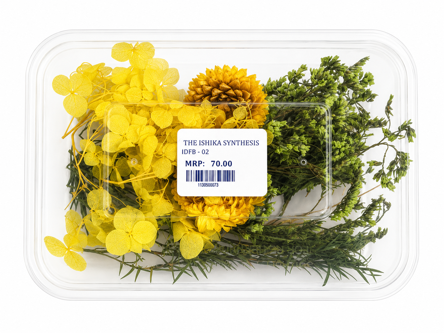 Dry Flower Box for Resin Art & DIY Crafts IDFB-02