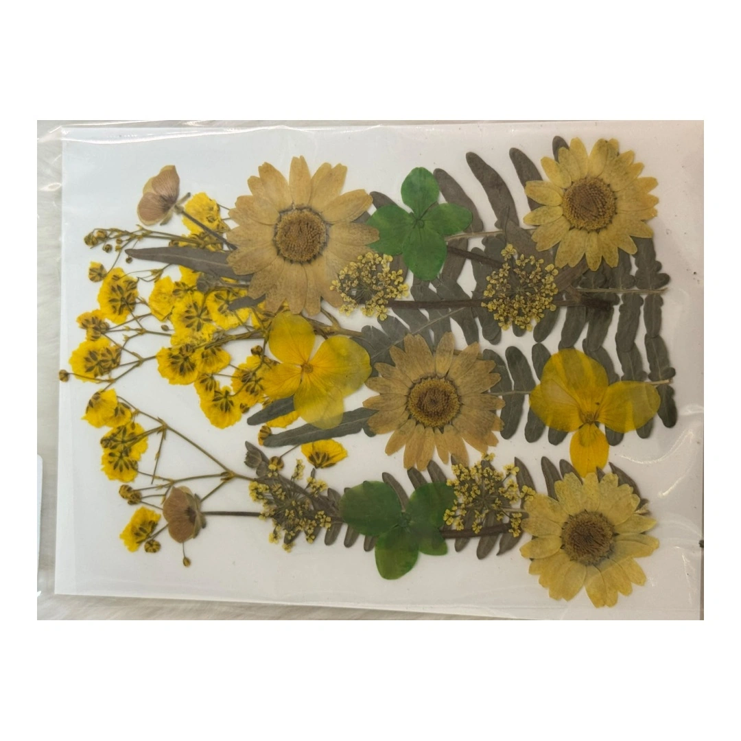 Dry Flowers Sheet for Resin Art IDFS - 14