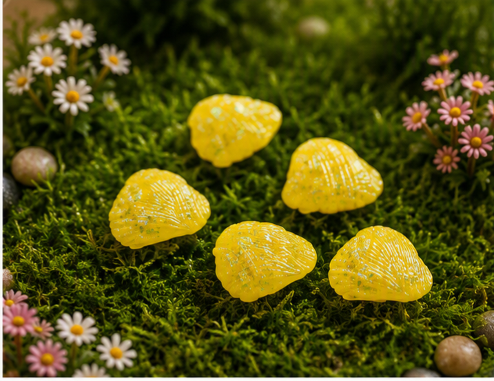 Miniature Big Yellow Sea shells