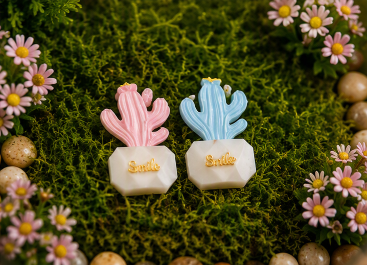 Miniature Smile Cactus