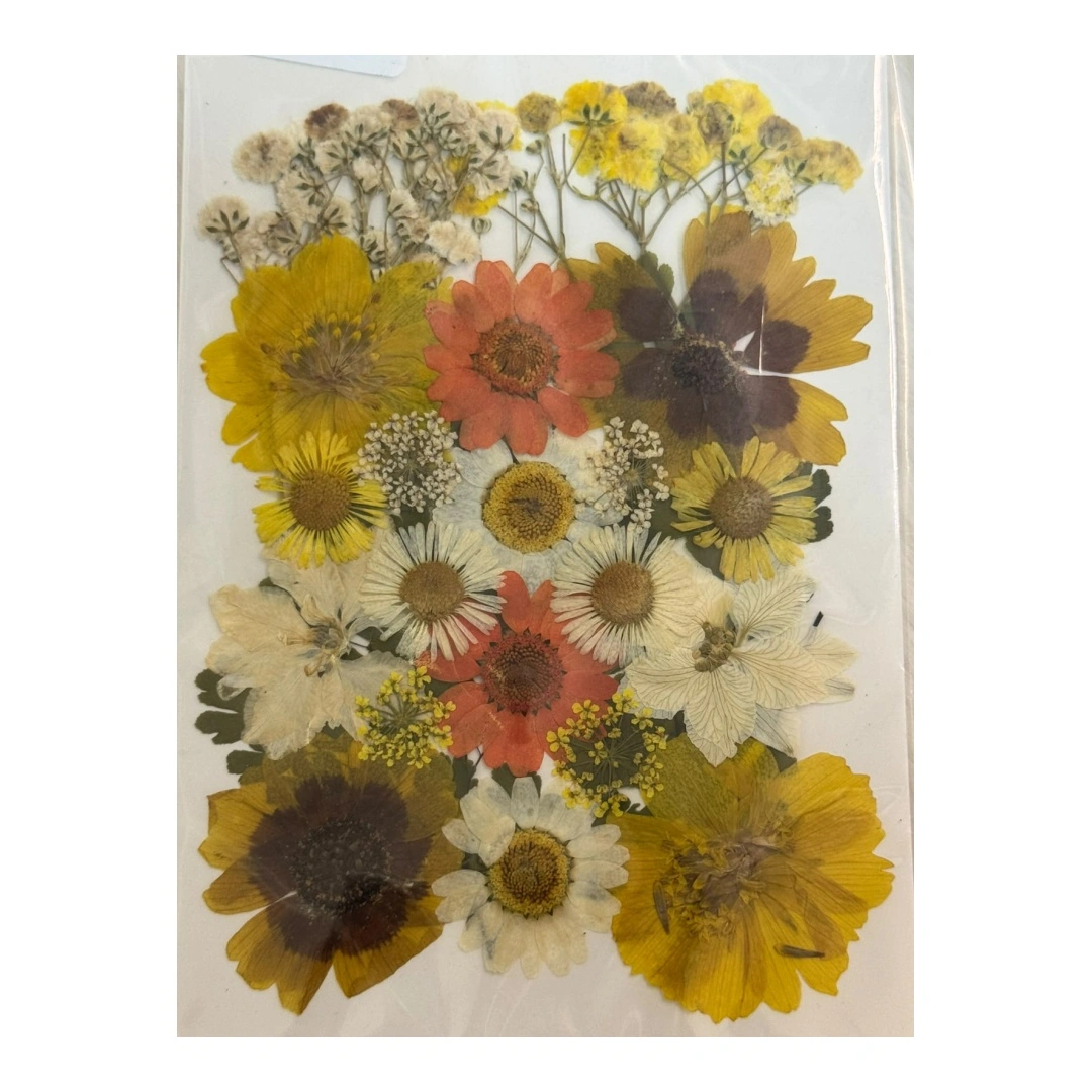 Dry Flowers Sheet for Resin Art IDFS - 28
