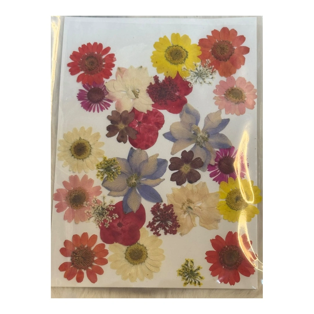 Dry Flowers Sheet for Resin Art IDFS - 42