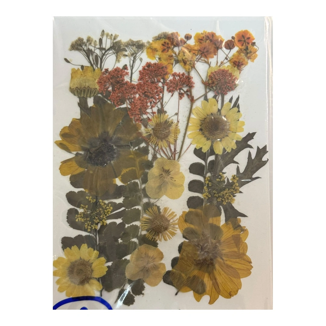 Dry Flowers Sheet for Resin Art IDFS - 36